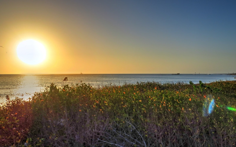 horizon, beauty in nature, outdoors, sun, land, beach, 2K, sunlight, sea, sunset, horizon over water, water, scenics - nature, tranquility, flat, tranquil scene