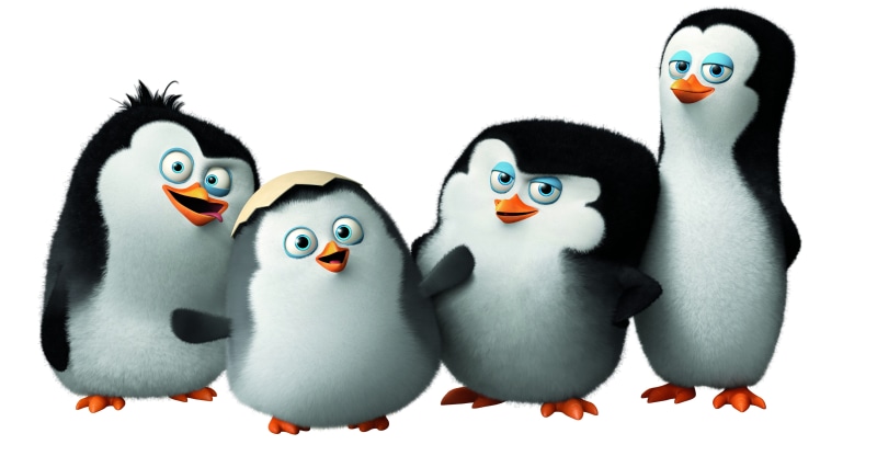 watch, Kowalski, cartoon, 5K, funny, Best Animation Movies of 2015, Private, HD, cute penguin, Penguins of Madagascar, Skipper, Rico, Madagascar