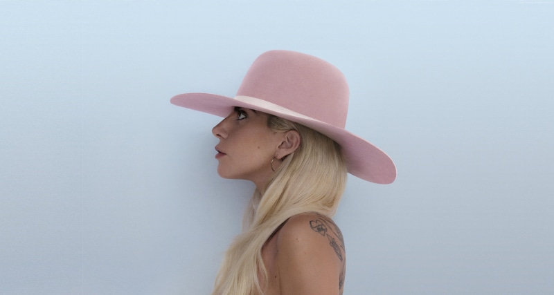 leisure activity, hairstyle, beautiful woman, studio shot, hat, joanne, portrait, young women, hair, headshot, music, lifestyles, pink, blonde, one person