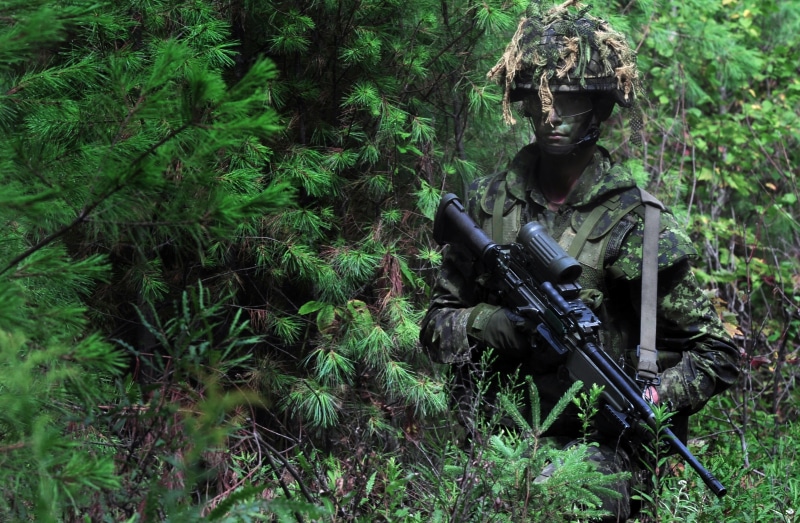 bulletproof vest, uniform, forest, hemet, weapon, training, man, US Army, instruction, camo, scope, camouflage, special forces, goggles, rifle, gloves