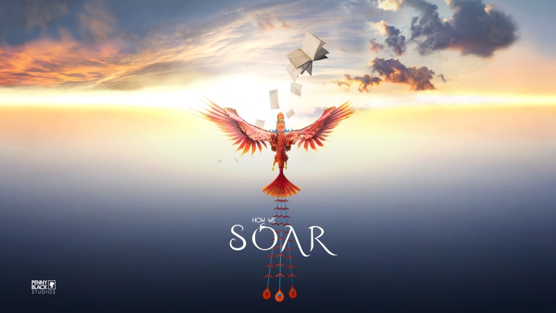 soar, 4k, digital, How We Soar, PlayStation VR