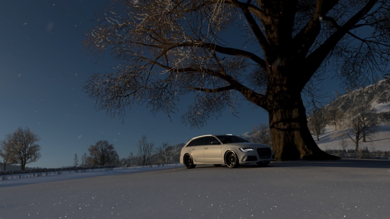 Forza Horizon 4, road, field, tree trunk, motor vehicle, land vehicle, snow, bare tree, screen shot, plant, branch, Forza Games, car, sky, video games