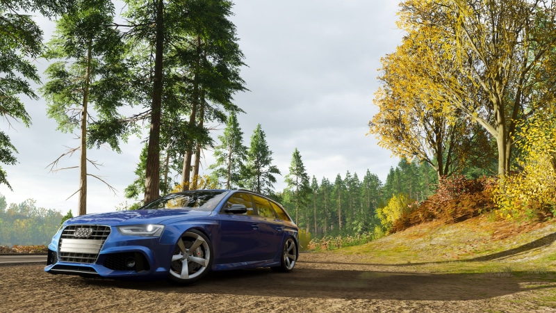 Forza Horizon 4, screen shot, fall, video games, Audi RS6 Avant, 4K