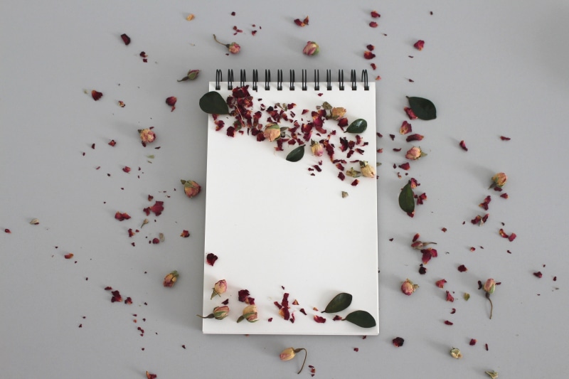 notes, fruit, office accessories, flat, healthy eating, food and drink, wellbeing, empty, freshness, still life, roses, booklet, diary, desk, indoors, food