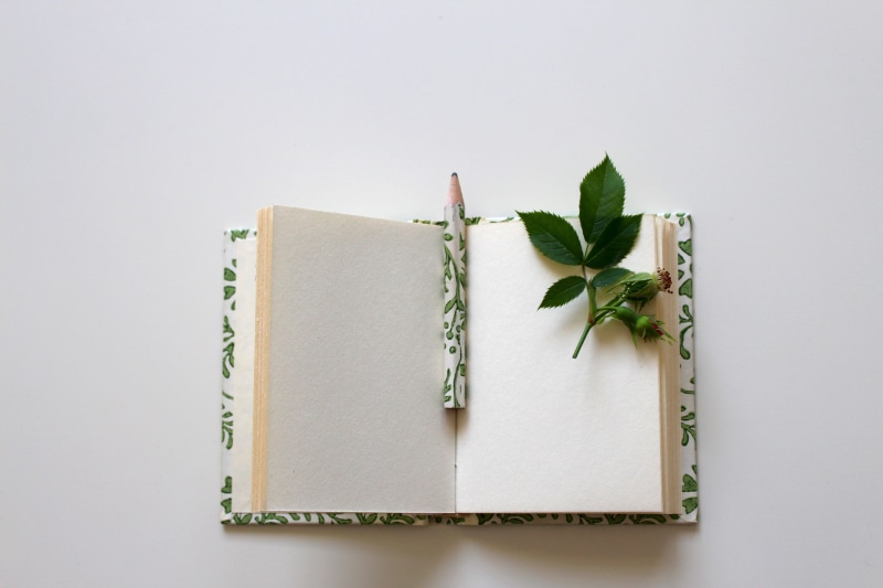 green color, copy space, leaves, creativity, nature, enter, empty, studio shot, leave, booklet, publication, note pad, pitched, books, notebook, close