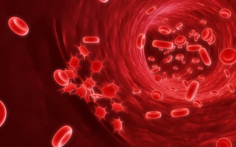 cells, red, cell, digital art, 1080P, 1920x1200, illustration, blood