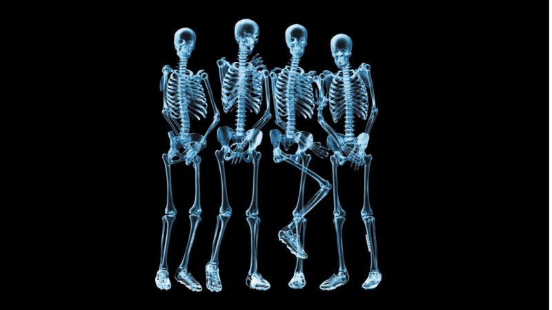 spine, health, indoors, art, human limb, shape, human, ribs, flow, anatomical, pain, bone, human hand, human bone, frozen, graphic, transparent, light