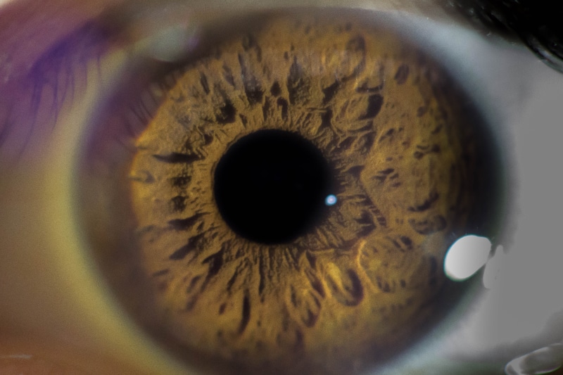 eyelashes, woman, eyeball, indoors, magnification, human eye, human, blue eyes, opticians, 4K, iris, sensory perception, female, eyesight, eye, geometric shape