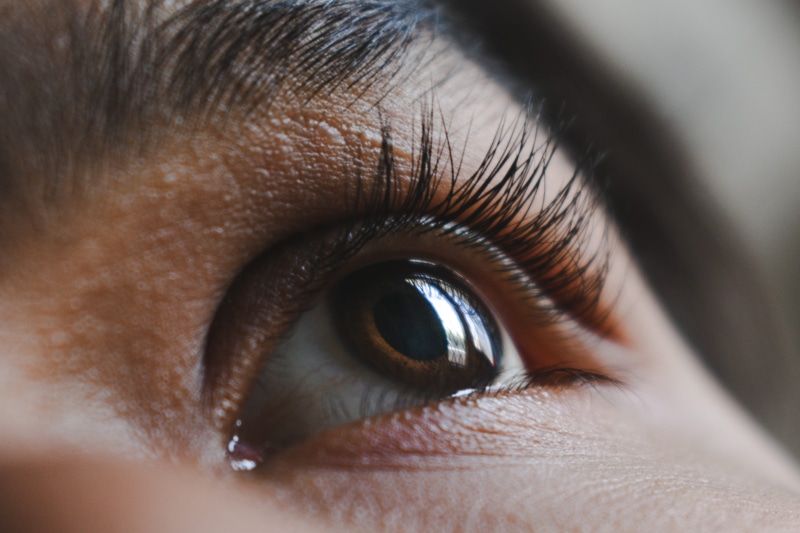 human body part, human eye, human face, macro, human skin, brown eyes, left, eyelash, eyelid, teenager, eye, vision, human, iris - eye, sensory perception
