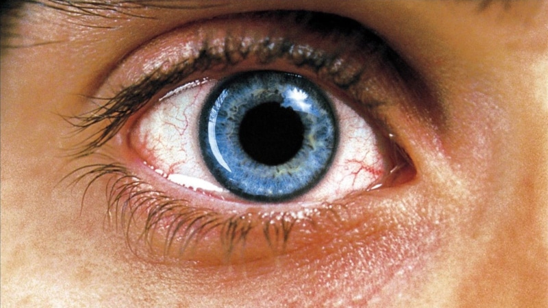 Pupil, adult, 1080P, looking at camera, portrait, Requiem for a dream, one person, human eye, Eye, full frame, young adult, eyelid, iris - eye, sensory perception