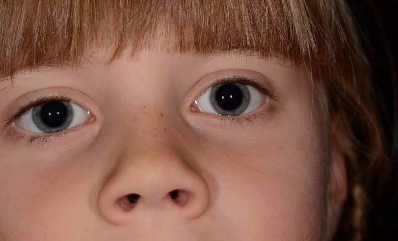 freckle, 4K, portrait, emotion, nostrils, men, child, eyes, redhead, close-up, headshot, looking at camera, small, eye, body part, face, iris, human body part
