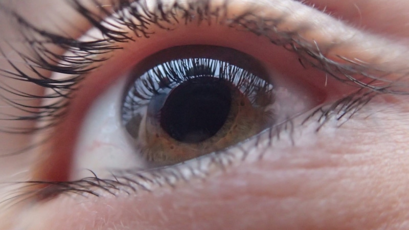 biology, visual, women, beautiful woman, sensory, photograph, anatomy, ophthalmic, diagram, human face, person, eyeball, optician, ophthalmologist, see