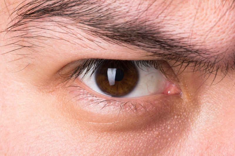 eye, macro, stare, males, lens, detail, eyelash, eyelid, iris - eye, watch, sight, expression, one, eyebrow, pupil, poisonous, medical condition, people