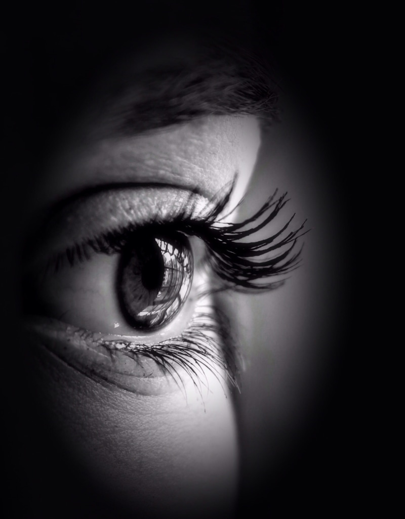 close-up, dark, model, cosmetics, eyelash, 2K, close, vignette, portrait, female, see, iris - eye, eyeball, make up, studio shot, eyebrow, beauty, indoors