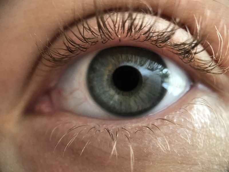 human body part, 1600 meridian ave, one person, human face, eyelash, sensory perception, teenager, ojo, eyelid, blue eyes, eye, portrait, macro, united states