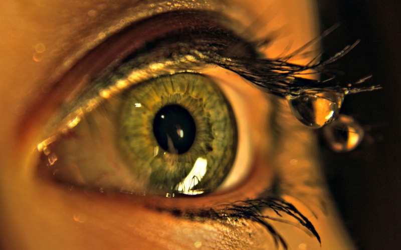 beauty, human eye, eyeball, eyesight, eyelash, contemplation, iris - eye, eye, eyebrow, adult, eyes, sensory perception, hazel eyes, body part, macro, extreme close-up