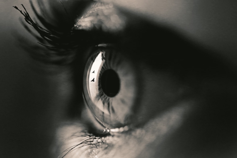 body part, eyebrow, real people, eyelid, people, human face, extreme close-up, 1080P, looking, sepia, indoors, portrait, eyeball, eye, birds, one person