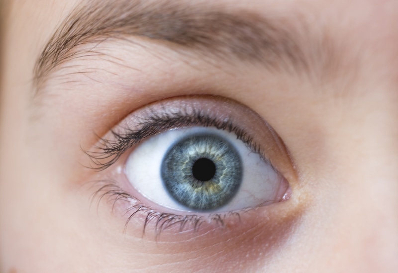 extreme close-up, daughter, young, adult, visually, looking at camera, see, eyelash, focus, look, close-up, human eye, body part, portrait, woman, eyesight