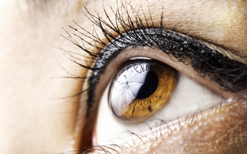 iris - eye, human body part, eyeball, eyelid, adult, extreme close-up, people, eyelash, hazel eyes, full frame, looking, eyesight, eyes, body part, eye