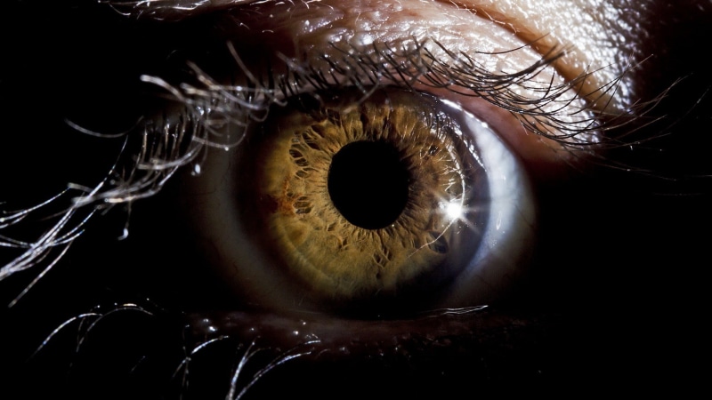 extreme close-up, sensory perception, eye, one person, body part, eyelid, 1080P, macro, eyes, unrecognizable person, indoors, eyelash, looking at camera