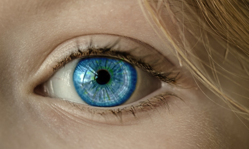 eyeball, body part, human eye, women, looking at camera, human body part, eyelid, human face, blue eyes, one person, adult, extreme close-up, eyebrow, iris - eye