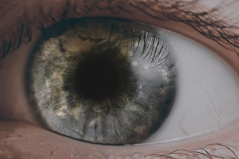 macro, real people, indoors, backgrounds, round, human body part, sensory perception, black, extreme close-up, 2K, plate, eyes, eyelash, portrait, eyelid
