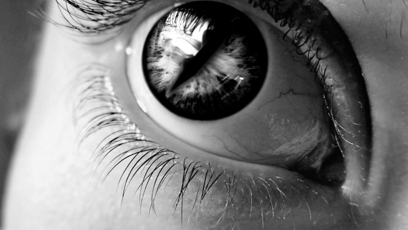 eyelashes, human face, eyelid, eyes, human eye, eyeball, sensory perception, one person, portrait, 1080P, eye, close-up, iris - eye, real people, reflection