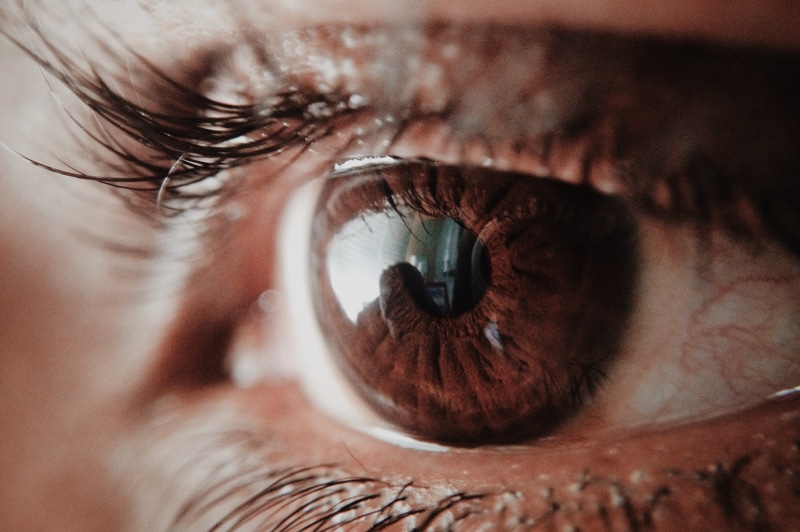 body part, one person, eyelash, vision, 2K, extreme close-up, macro, looking, brown, portrait, eyelashes, sensory perception, eye, eyelid, unrecognizable person