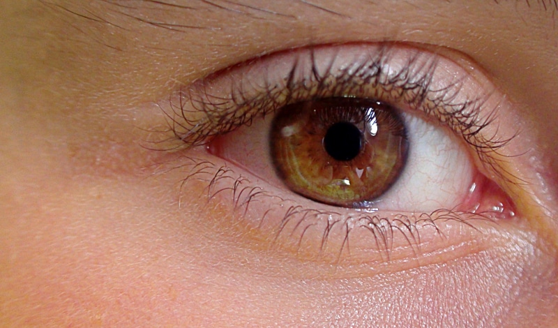 eyesight, human Eye, people, eye, human, sensory perception, eyelids, skin, close-up, the anatomy of a, eye color, hazel eyes, human face, żrenica, sharpness