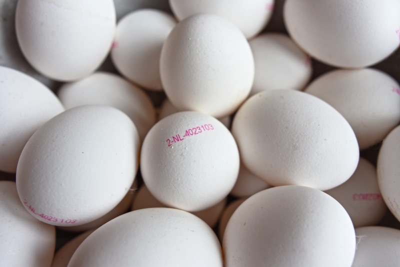 white color, animal protein, egg mark, identification stamp, vulnerability, abundance, large group of objects, nutrition, protein, fragility, still life
