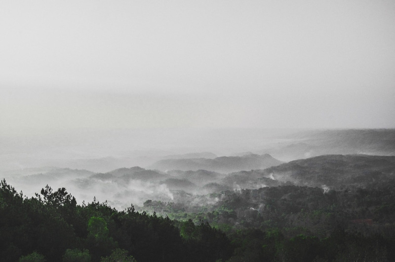indonesia, beauty in nature, tree, rainforest, coniferous tree, scenics - nature, forest, mountain, tranquility, live authentic, sky, tranquil scene, non-urban scene