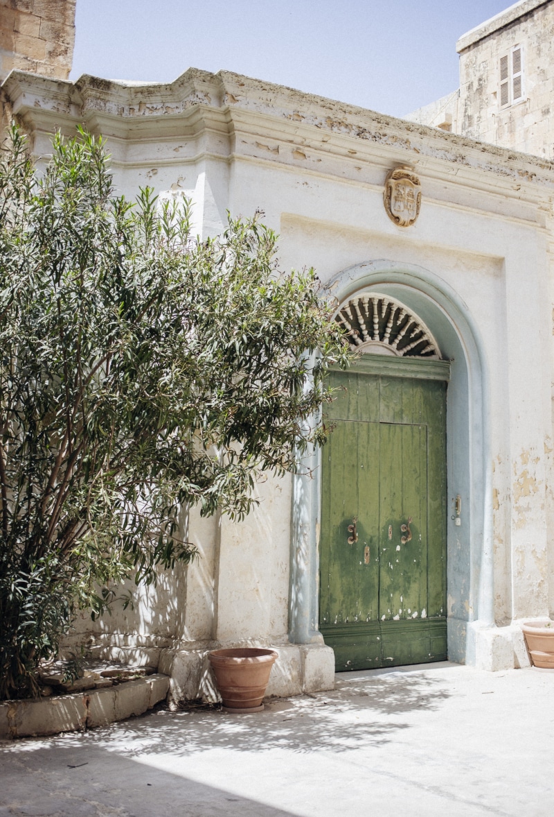 building, door, architectural column, old town, historic, details, plant, potted plant, 5K, arch, no people, growth, building exterior, mediterranean