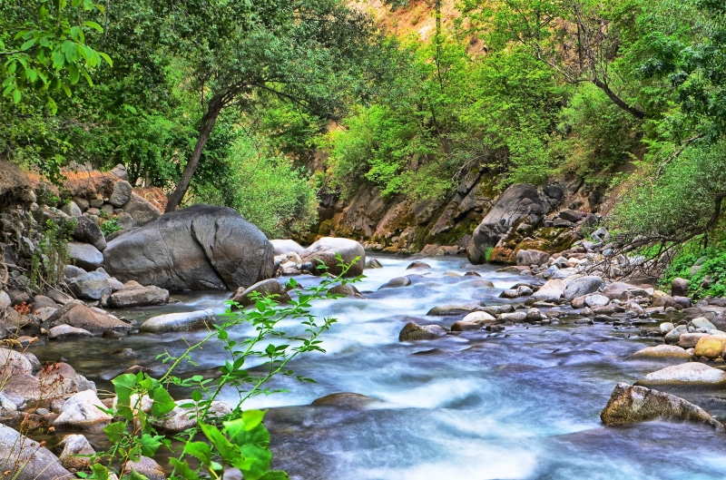 turkey, 2K, landscape, forest, plant, land, authentic, water, highland, natur, coruh valley, river, flowing, scenics, no people, background, freshness