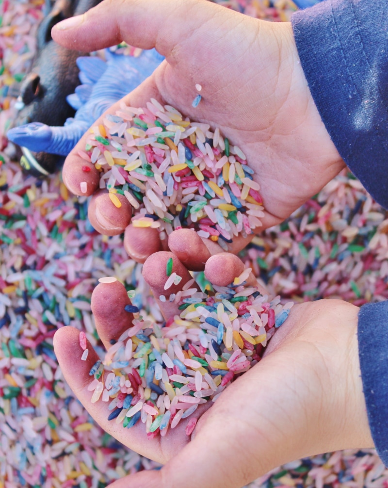 close-up, unrecognizable person, finger, human hand, hand, human limb, food and drink, outdoors, human finger, body part, food, day, hands, personal perspective