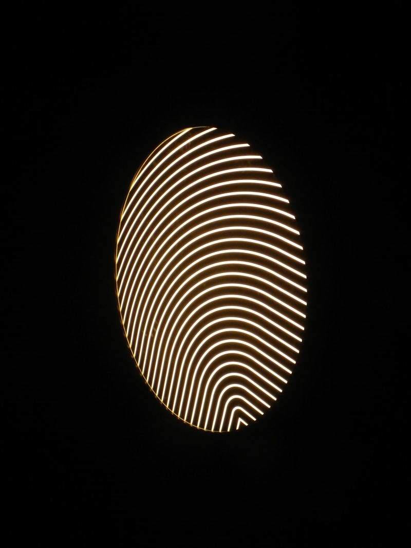 shape, thumbprint, close-up, technology, Fingerprint, symbol, lighting equipment, copy space, black background, dark, pattern, biometrics, striped, Lamp