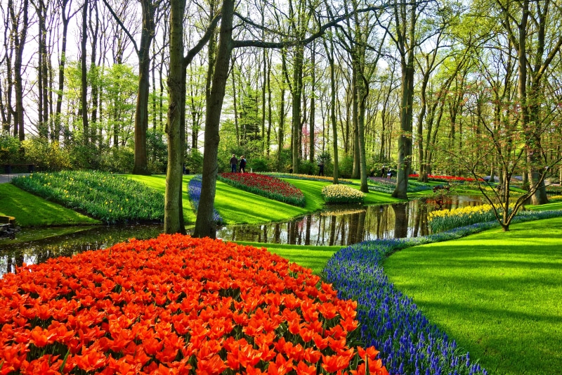 outdoors, brook, freshness, beauty in nature, daytime, flower garden, 5K, green color, flowerbed, scenics - nature, garden, green, dutch, grass, park