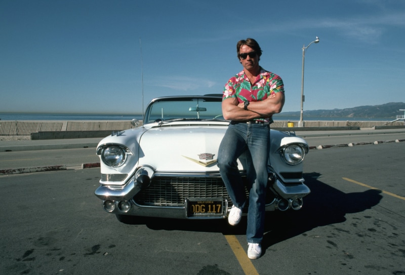 young Women, arnold schwarzenegger, motor vehicle, color Image, road Trip, vacations, transportation, shirt, button, day, adult, s, smiling, retro Styled