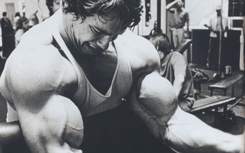 exercising, bodybuilding, gyms, 4K, Arnold Schwarzenegger, barbell, Bodybuilder