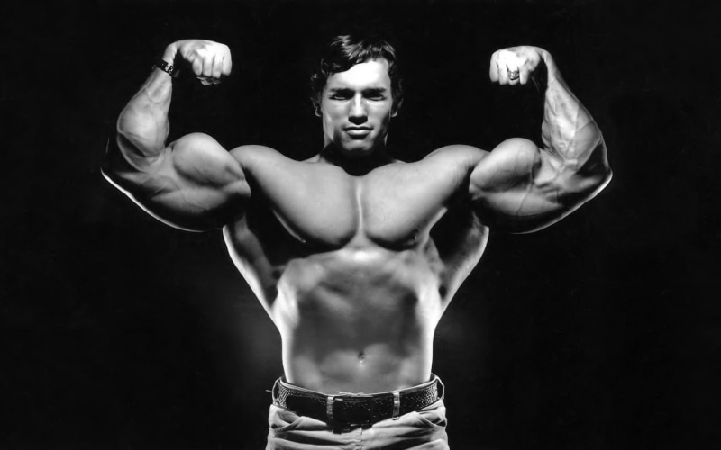 720P, Arnold Schwarzenegger, celebrity, men