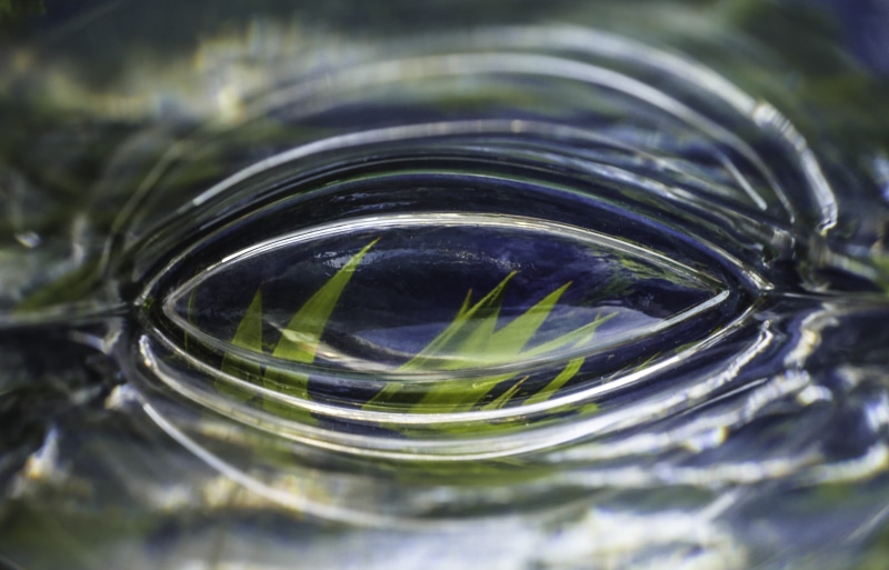 forward, studio shot, eye, beauty in nature, no people, concentration, shape, glass - material, focal point, selective focus, purity, outdoors, water, close-up