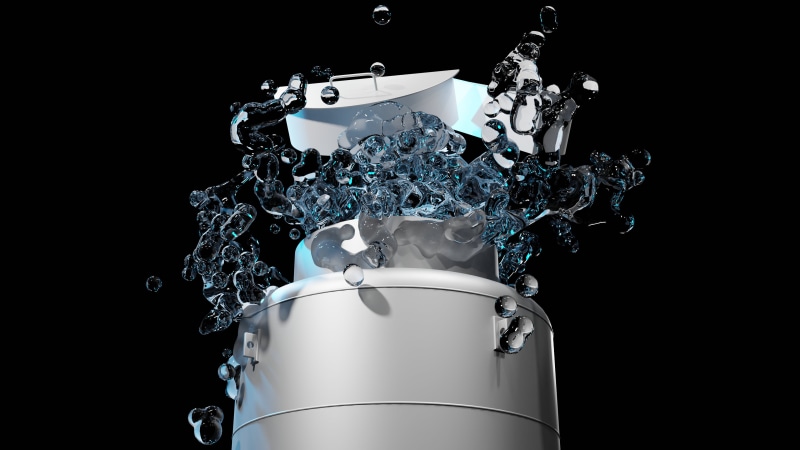4K, Cryonics Institute, Nicholas Vandermeulen, Cryonics