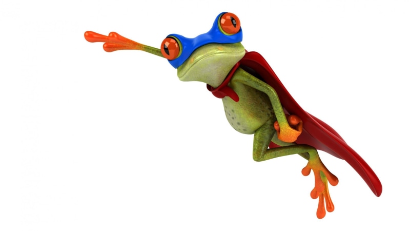 studio shot, single object, mask, vertebrate, close-up, animal wildlife, copy space, still life, flying, digital art, Superman, amphibian, white background