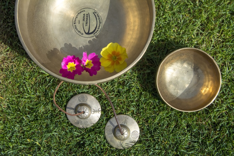 soul, outdoors, freshness, alternative energy, spoon, tone, sound, flowering plant, close-up, sound bowl, day, kitchen utensil, singing bowl, nature, bowl