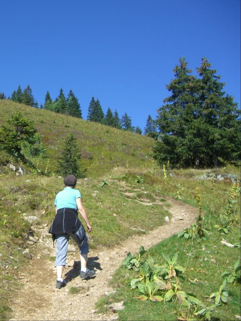 trail, real people, plant, woman, non-urban scene, already 60, black forest, 1080P, Path, one person, green, hike, infant step, adults only, walking, tight wadeln