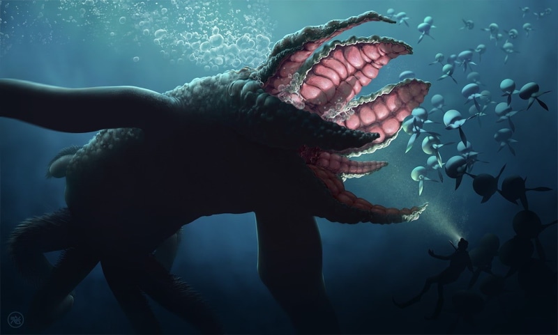 digital art animals nature sea underwater sea monsters fish bubbles divers lights leviathan, 720P