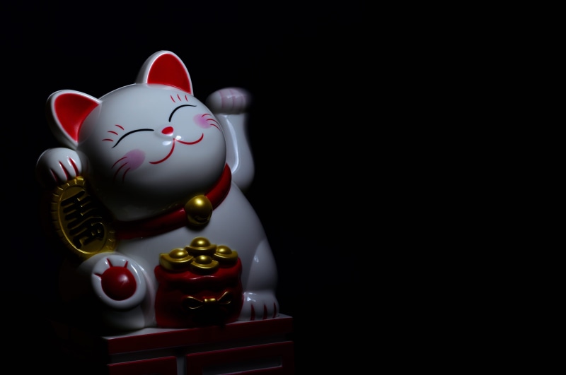 finance, red, animal representation, cat, depression - sadness, no people, cute, black background, gold, copy space, still life, indoors, golden, paw, photo