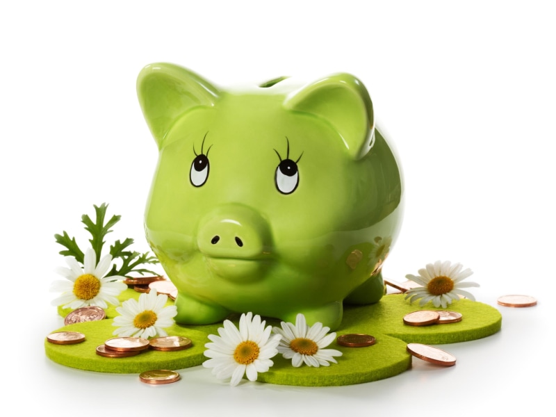 lovely, money, beautiful, piggy, flowers, 2K, nice, coins, beau, sweet, still life, pretty, daisies, bank, piggy bank