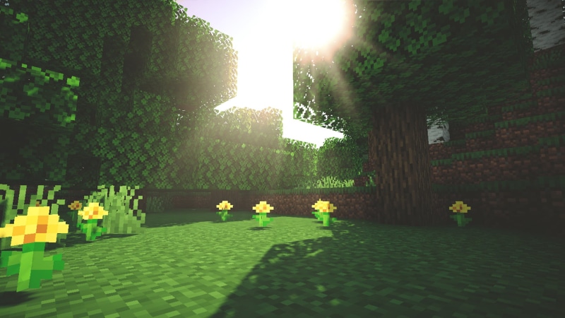 Minecraft, 1080P, shaders