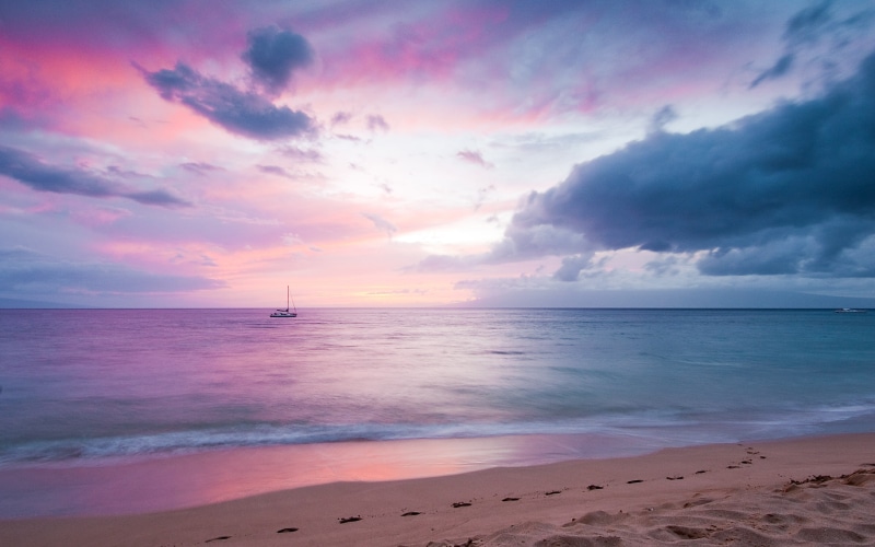 paradise, 2K, blissful