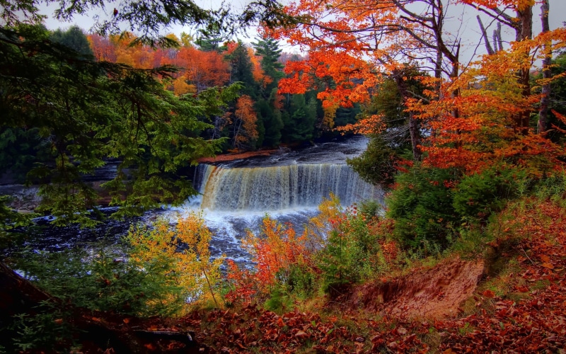 tahquamenon, waterfall, gorgeous, flowing, falls, blissful, beautiful, trees, nature, autumn, 3d and abstract, 2K